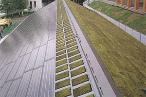 洞爺湖サミット・ゼロミッションハウスの屋根緑化