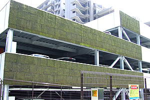 駐車場の壁面緑化