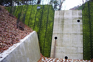 砂防ダムの緑化